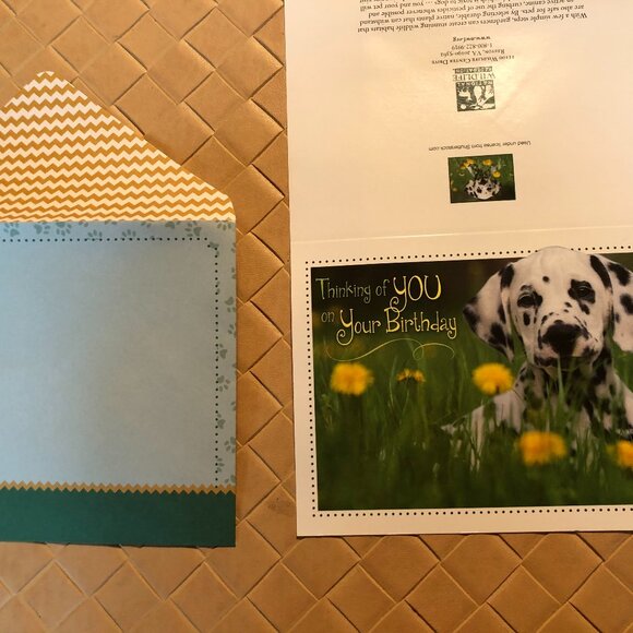 National Wild Life Association Other - National Wild Life Association Lot of 14 Nature Assorted Cards with Envelopes